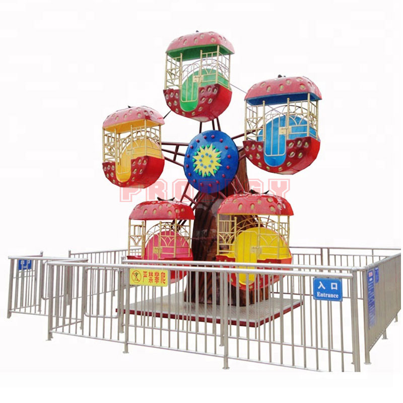 Children Mini ferries wheel