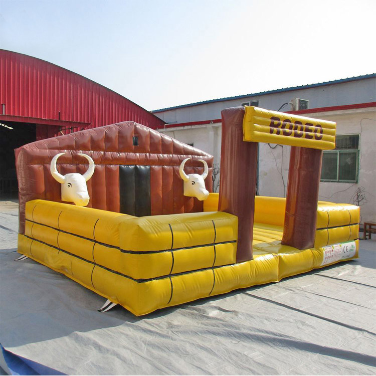 Mechanical Bull Ride