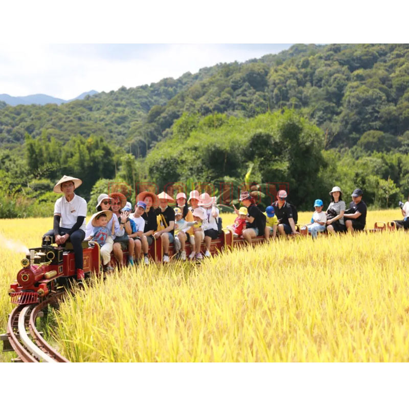 Railway Road Train