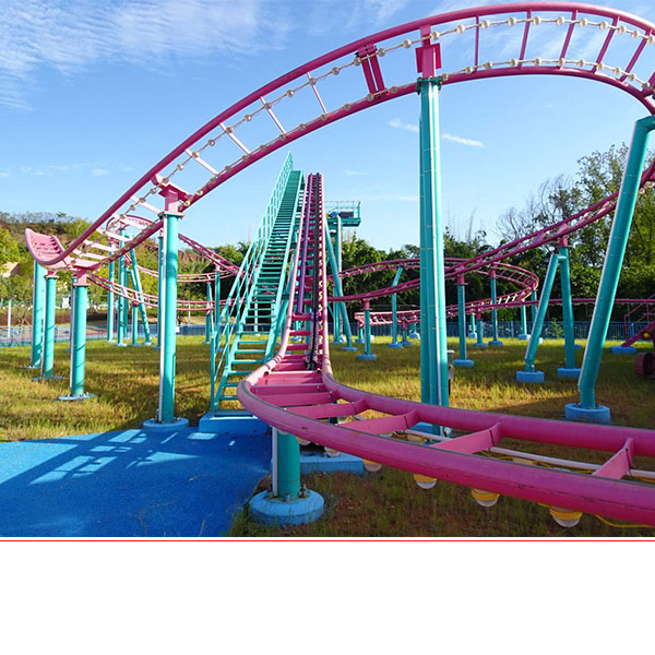 Family Roller Coaster